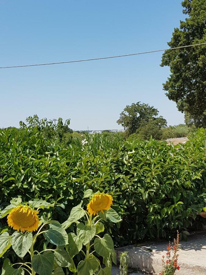Trulli Della Masseria Staffone Alberobello Zewnętrze zdjęcie